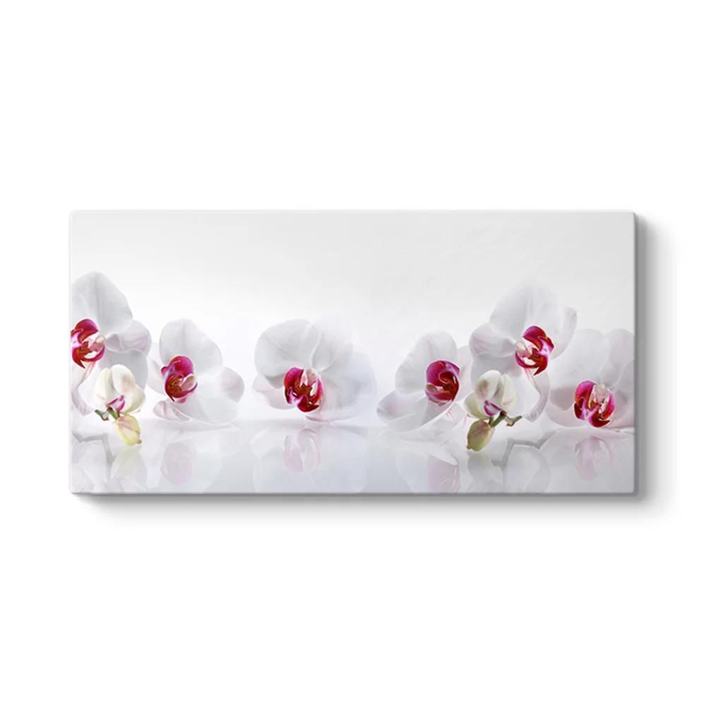 Beyaz Orkide Panorama Tablo - Model 5